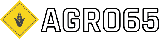 logo do Agro65